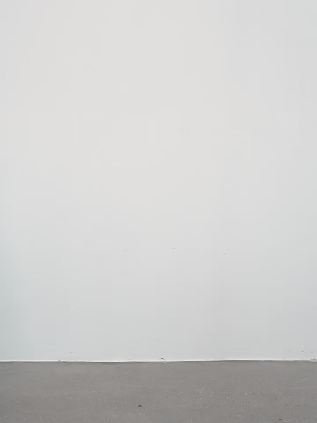 Merino Wool Oversized Double-Breasted Coat