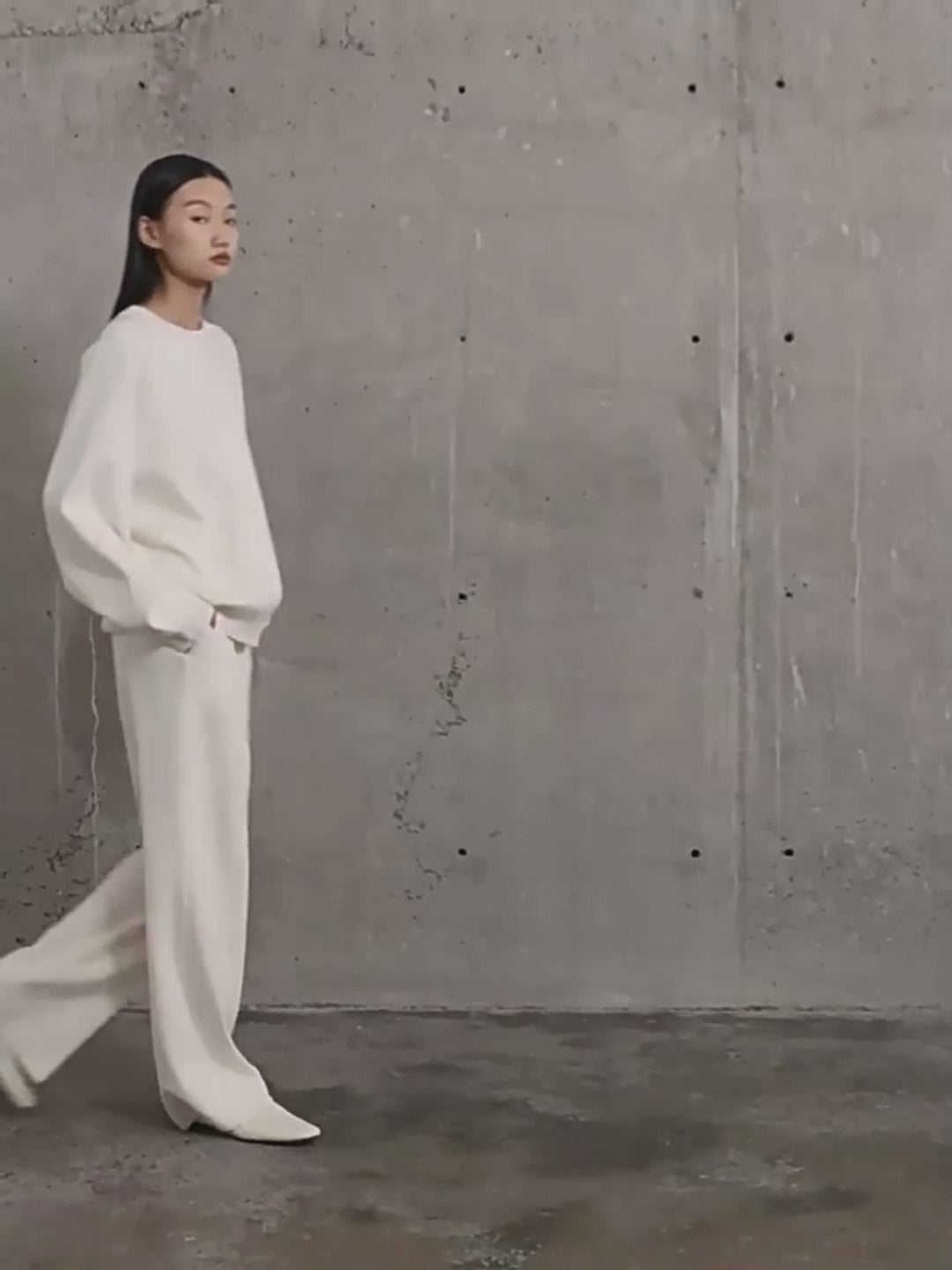 Basolan Wool Blend Loose Straightleg Pleated Trousers