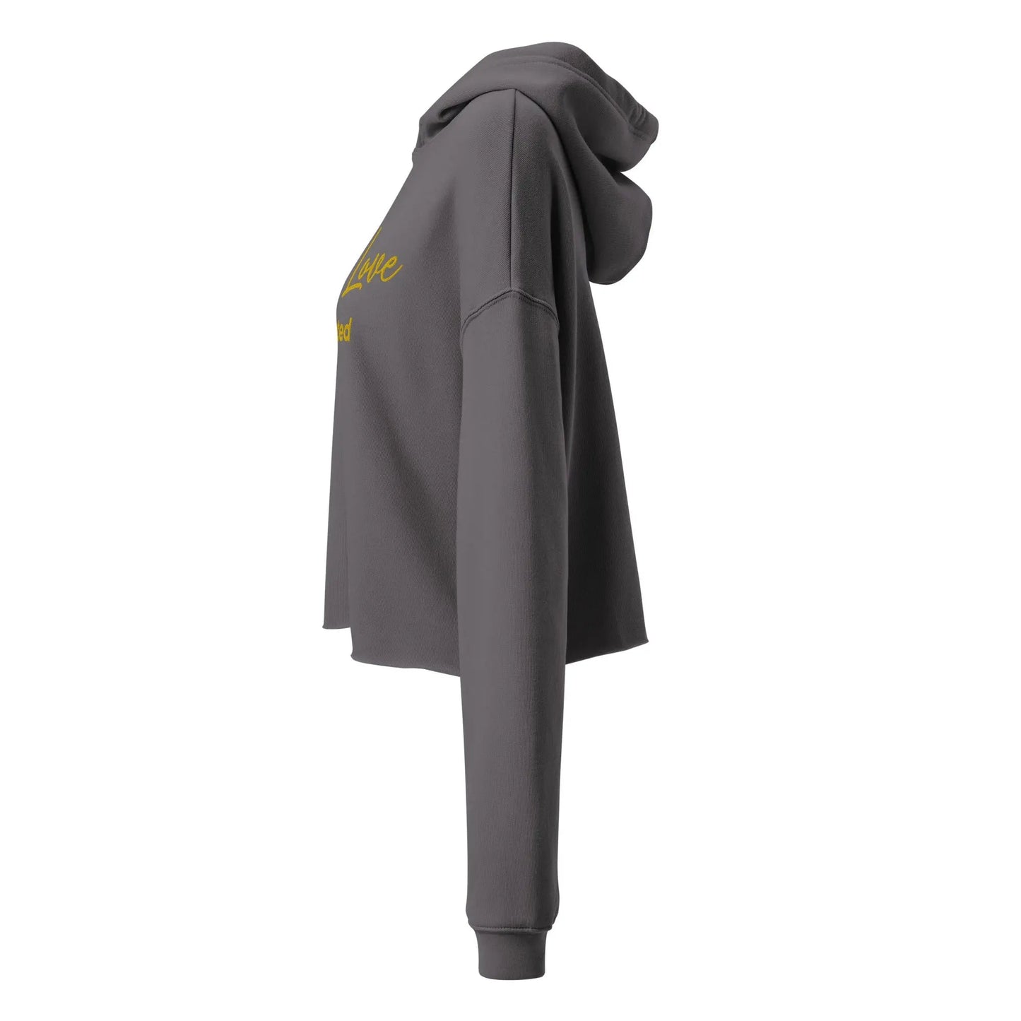 Crop Hoodie - Self Love Addicted With EMBROIDERY